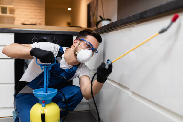 Best Rat Extermination Near Me  in Venetian Vlage, IL