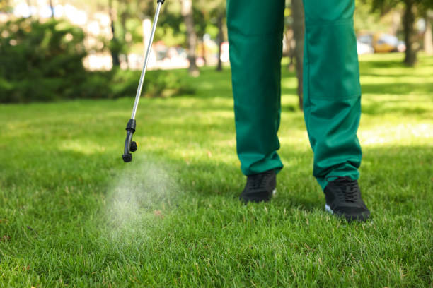 Best Local Pest Control Services  in Venetian Vlage, IL