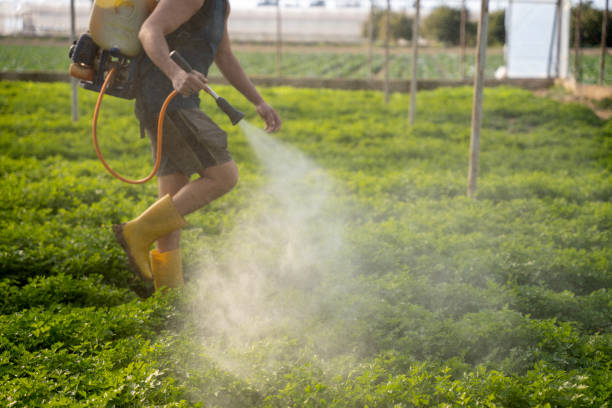Trusted Venetian Village, IL Pest Control Experts
