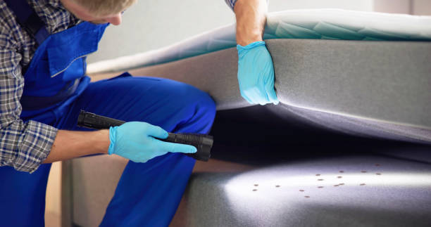 Best Mosquito Control Services  in Venetian Vlage, IL