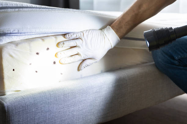 Best Bed Bug Extermination  in Venetian Vlage, IL