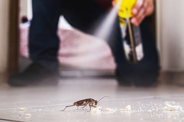 Best Exterminator Services  in Venetian Vlage, IL