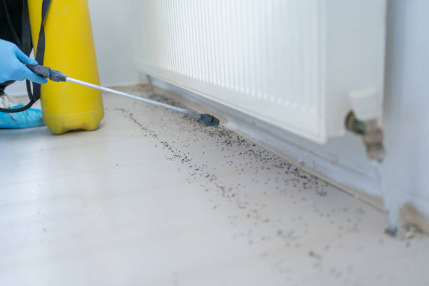 Best Pest Control Treatment  in Venetian Vlage, IL